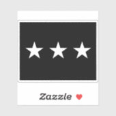 米国宇宙州旗 シール (シート)