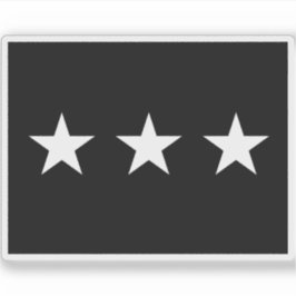 米国宇宙州旗 シール