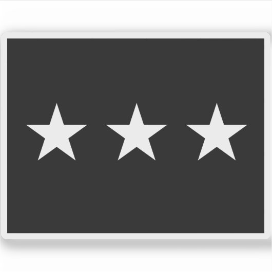 米国宇宙州旗 シール (正面)