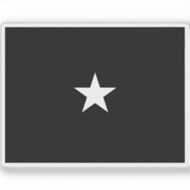 米国宇宙軍司令官の国旗 シール