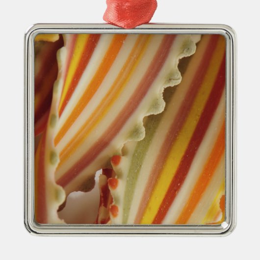 米国干し虹パスタ麺のクローズアップ。 メタルオーナメント (正面)