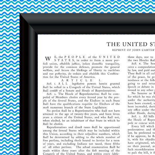 米国憲法ジョン・カーターの復刻版 ポスター