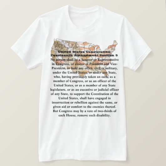 米国憲法修正第14条 Tシャツ (デザイン正面)