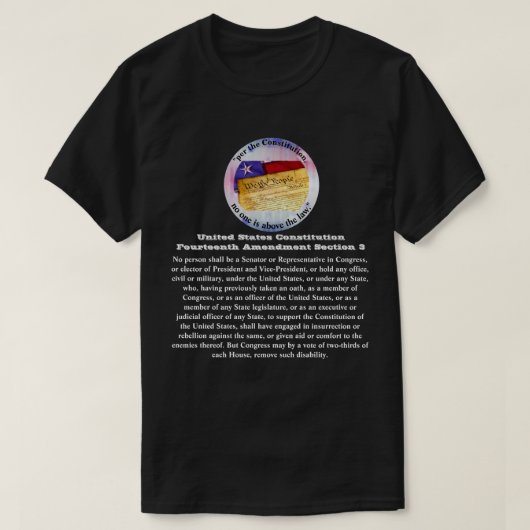 米国憲法修正第14条 Tシャツ (デザイン正面)