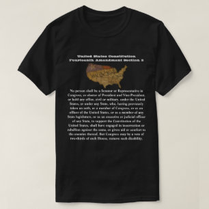 米国憲法修正第14条 Tシャツ