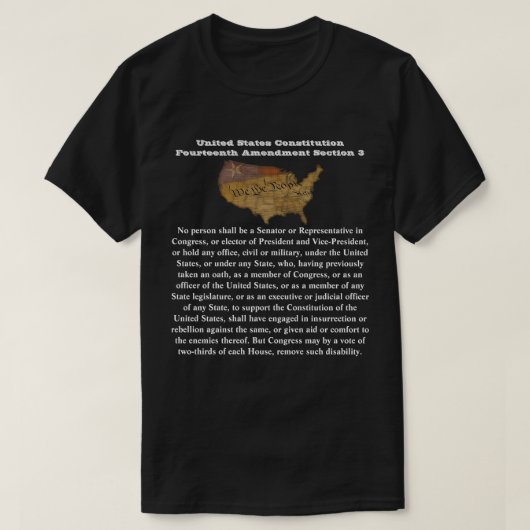 米国憲法修正第14条 Tシャツ (デザイン正面)