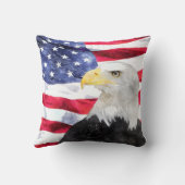 米国旗及びワシ クッション (裏面)