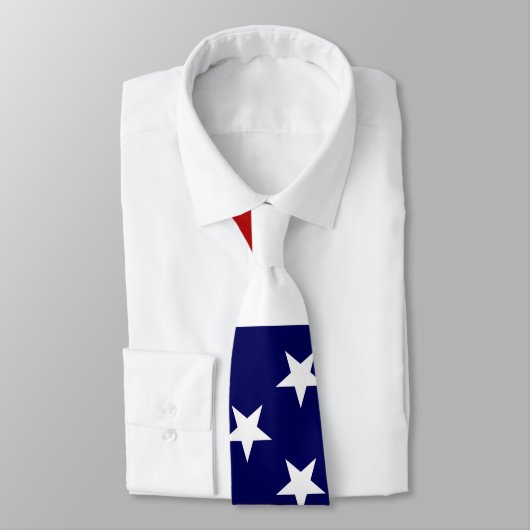 米国旗 ネクタイ (タイ)