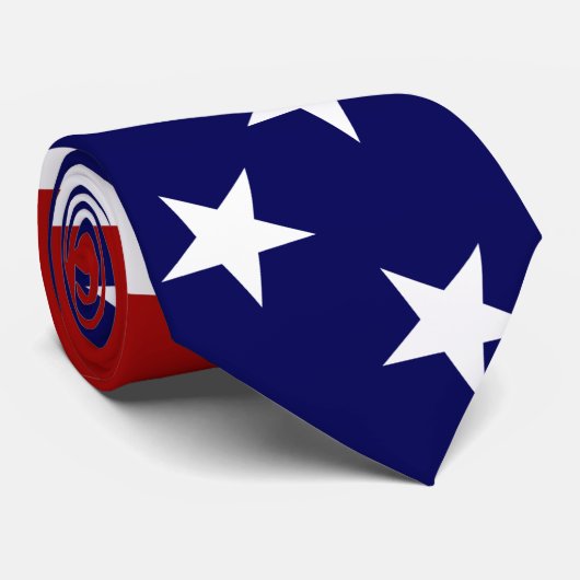米国旗 ネクタイ (ロール)