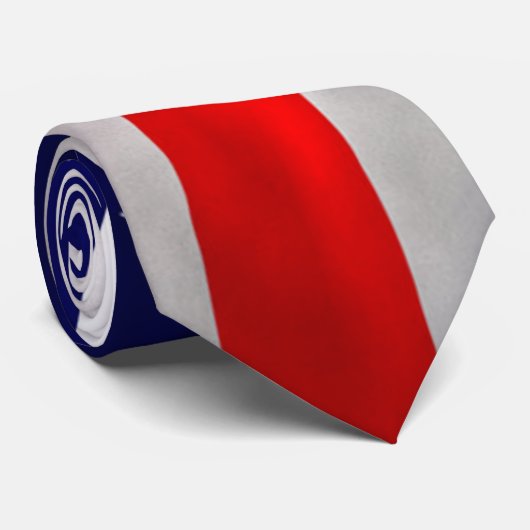 米国旗 ネクタイ (ロール)