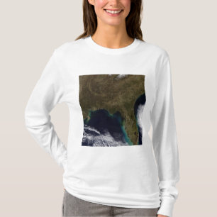 米国東南部 Tシャツ