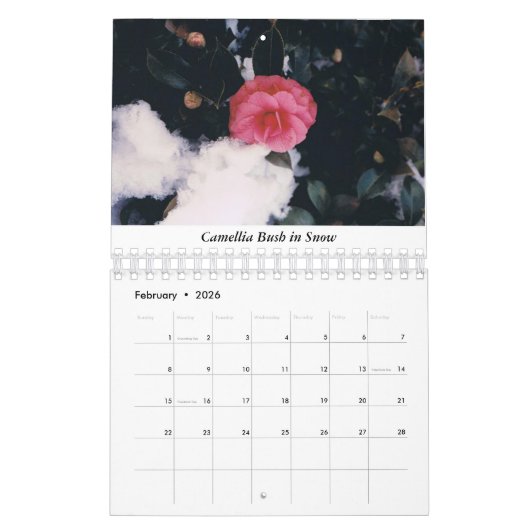 米国東部およびカレンカリブのダー カレンダー (2月 2026)