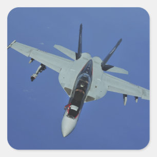 米国海軍のF/A-18Fのホーすごいネット飛行中 スクエアシール