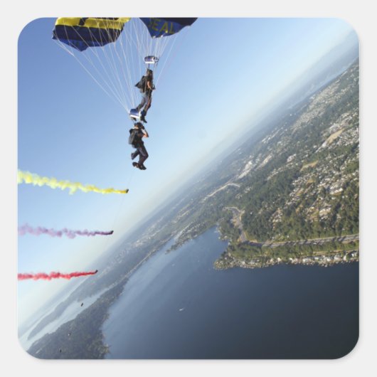 米国海軍パラシュートチームのメンバー スクエアシール (正面)