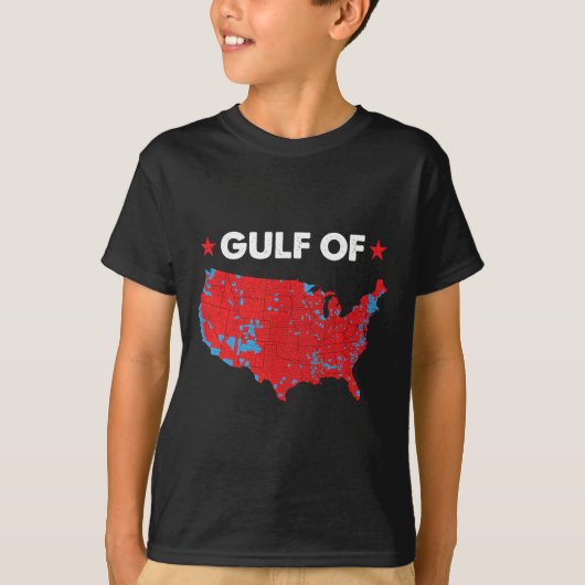 米国湾おもしろい州旗 Tシャツ (正面)