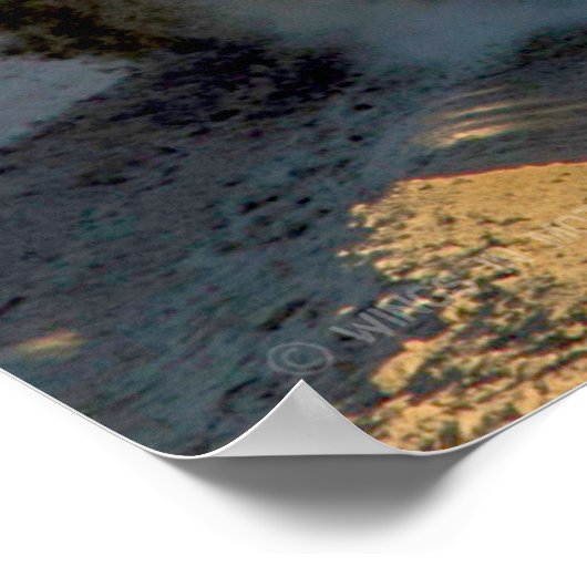 米国特殊運転車 – MRZR-D4 ポスター (角)