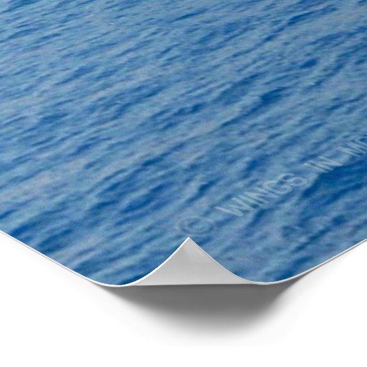 米国空母 – CVN-69 ポスター (角)