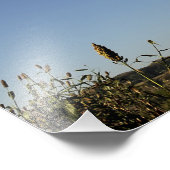 米国空軍C-17グローブマスターIII 2 フォトプリント (角)