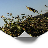 米国空軍C-17グローブマスターIII 2 ポスター (角)