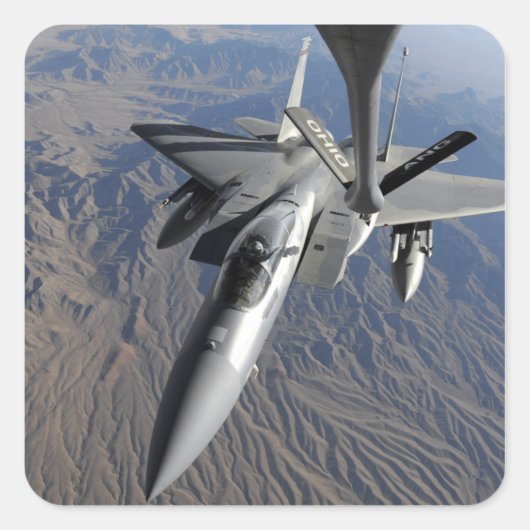 米国空軍F-15ワシ スクエアシール (正面)