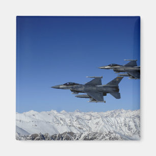 米国空軍F-16の戦いの《鳥》ハヤブサ マグネット