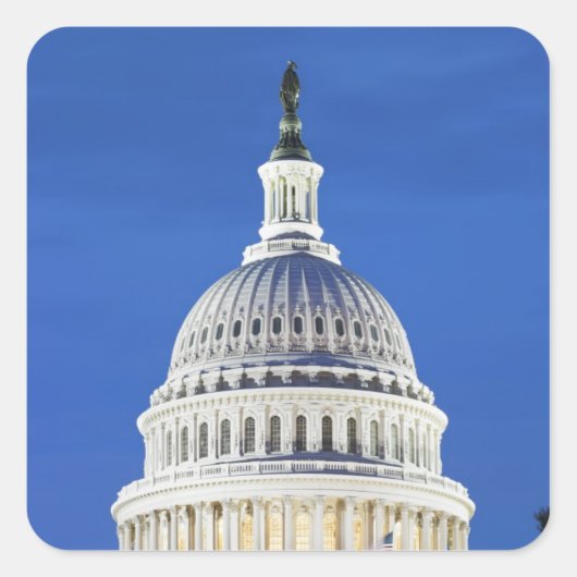 米国議会議事堂ドーム スクエアシール (正面)