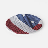 米国赤白・青米国愛国国旗 ペーパープレート (アングル)