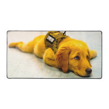 米国軍用犬
