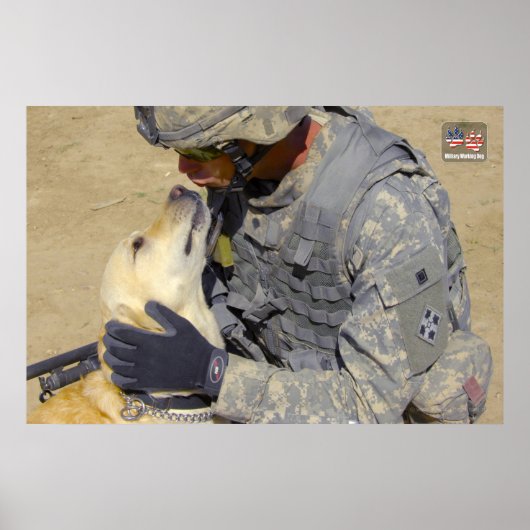 米国軍用犬 ポスター (正面)