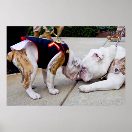 米国軍隊サービスドッグ ポスター (正面)