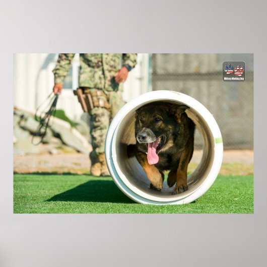 米国軍隊作業犬 ポスター (正面)