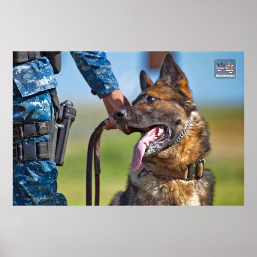 米国軍隊作業犬 ポスター (正面)