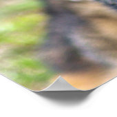 米国軍隊作業犬 ポスター (角)