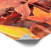 米国霜の降りたワシントン州ミルクリーク ポスター (角)