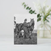 米国騎兵大砲、1863年 ポストカード (スタンド正面)