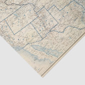 米国1860年12月 薄葉紙 (詳細)