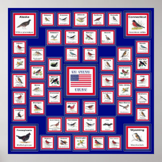 米国50州バードブルー/552 ポスター