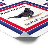 米国50州鳥類白/553 ポスター (角)