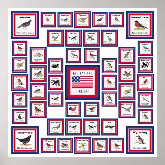 米国50州鳥類白/553 ポスター (正面)