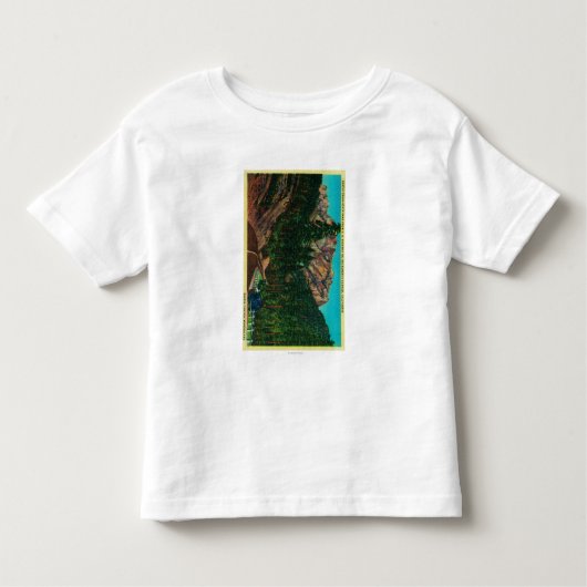 米国99からの城の岩山の州立公園 トドラーTシャツ (正面)