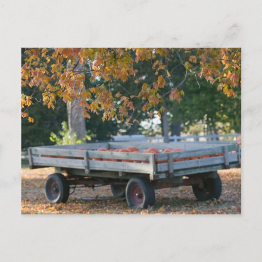 米国、アイオワ、マディソン郡、Winterset: Howell ポストカード (正面)