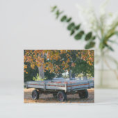 米国、アイオワ、マディソン郡、Winterset: Howell ポストカード (スタンド正面)