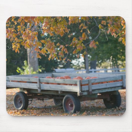 米国、アイオワ、マディソン郡、Winterset: Howell マウスパッド (正面)