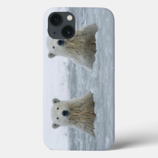 米国、アラスカの北斜面、1002の区域2 Case-Mate iPhoneケース (裏面)