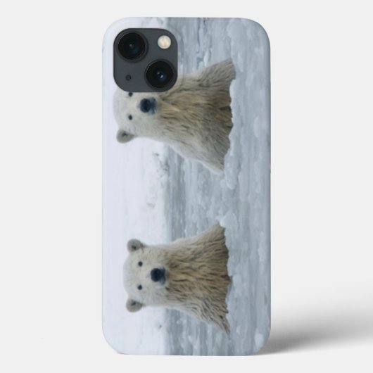 米国、アラスカの北斜面、1002の区域2 Case-Mate iPhoneケース (裏面)