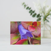 米国、アラスカ。のツンドラにブルーベル ポストカード (スタンド正面)