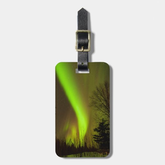 米国、アラスカ、チェナ·ホット·春。オーロラの景色 ラゲッジタグ (正面縦)