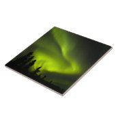 米国、アラスカ、チェナ·ホット·春。オーロラボレアリス2 タイル (側面)