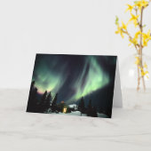 米国、アラスカ、チェナ·ホット·春。オーロラ カード (黄色い花)