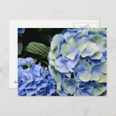 米国，アラバマ，テオドール近郊2 ポストカード (正面/裏面)